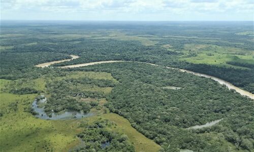 Por qu es importante conservar la biodiversidad en Colombia 