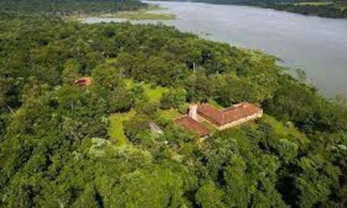 El nuevo Parque Federal Campo San Juan en Misiones Argentina 