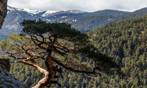 Los proyectos espaoles finalistas de los premios Natura 2000 