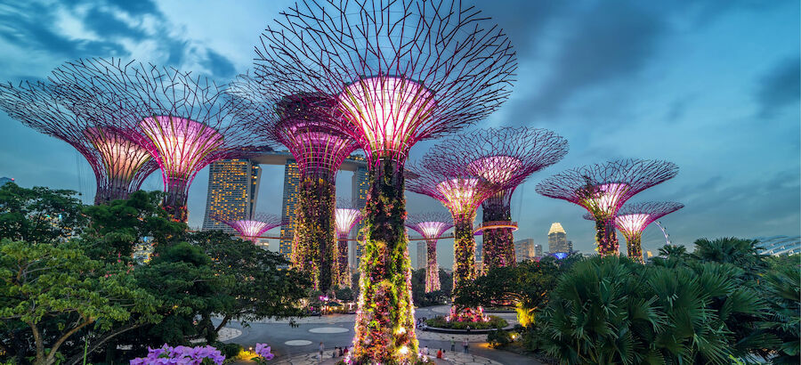 Gardens by the Bay Singapur 