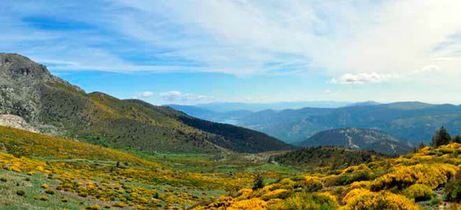 Este verano disfruta de rutas guiadas y gratuitas por la Sierra de Guadarrama 