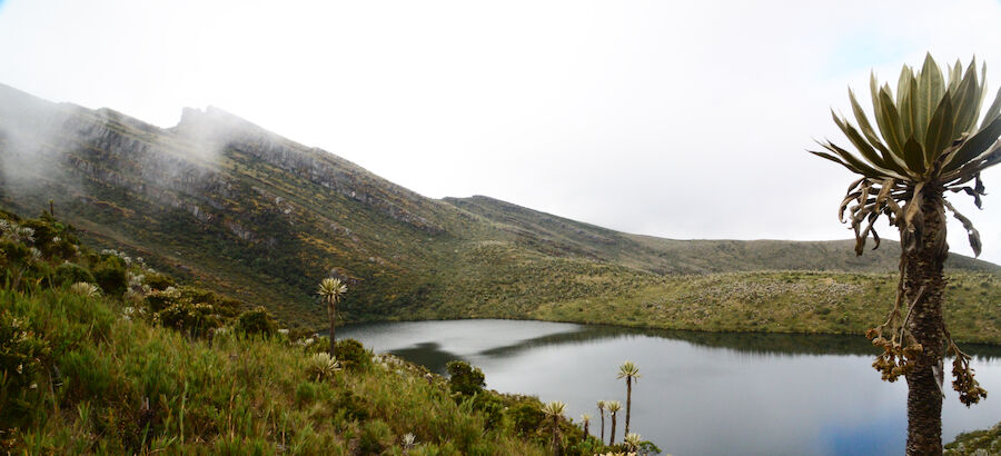 El Parque Nacional Natural Chingaza ecoturismo a dos horas de Bogot 