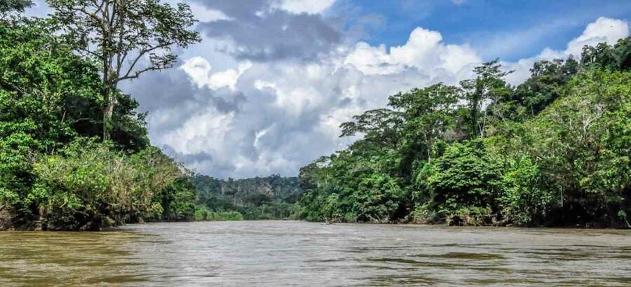 Parques Nacionales Naturales de Colombia apuesta por la conservacin del Paramillo 