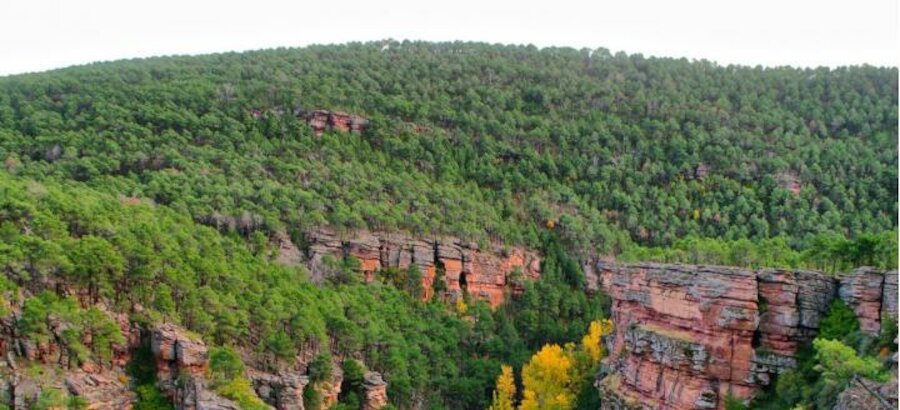 Fundacin Ibercaja organiza conferencias sobre la naturaleza de Guadalajara 