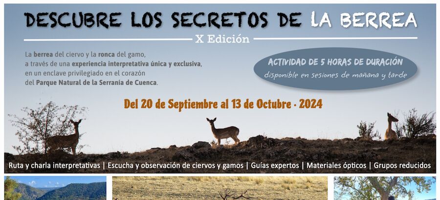 LLega la Berrea al Parque Natural de la Serrana de Cuenca en su X Edicin