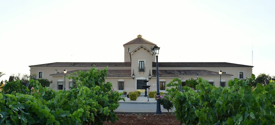 Bodegas martinez pavia