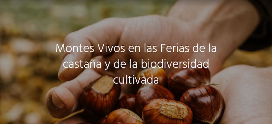 MONTES VIVOS Un proyecto para compatibilizar e integrar la biodiversidad en sistemas forestales para el fomento del desarrollo rural 