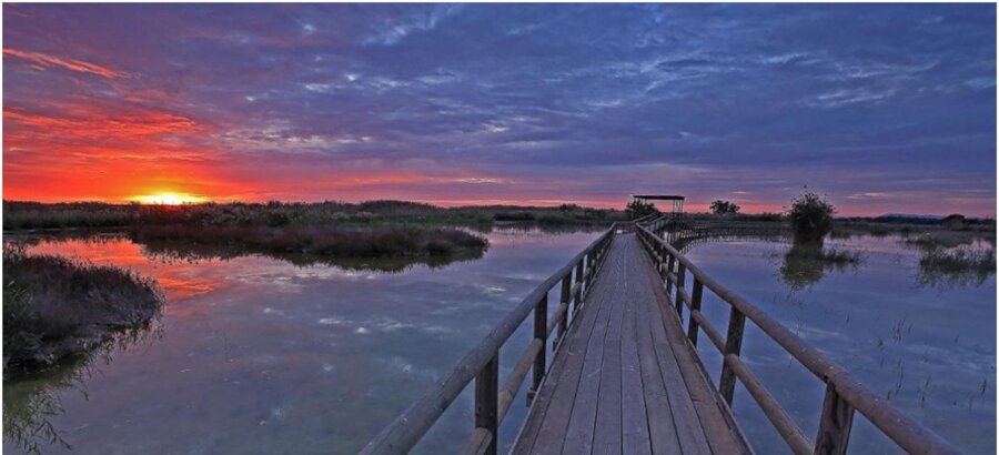 Cielo en movimiento descubre el birdwatching en la Comunitat Valenciana