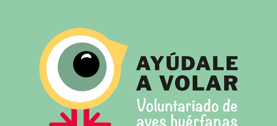 Aydale a volar programa de voluntariado para la cra de aves hurfanas en La Rioja  