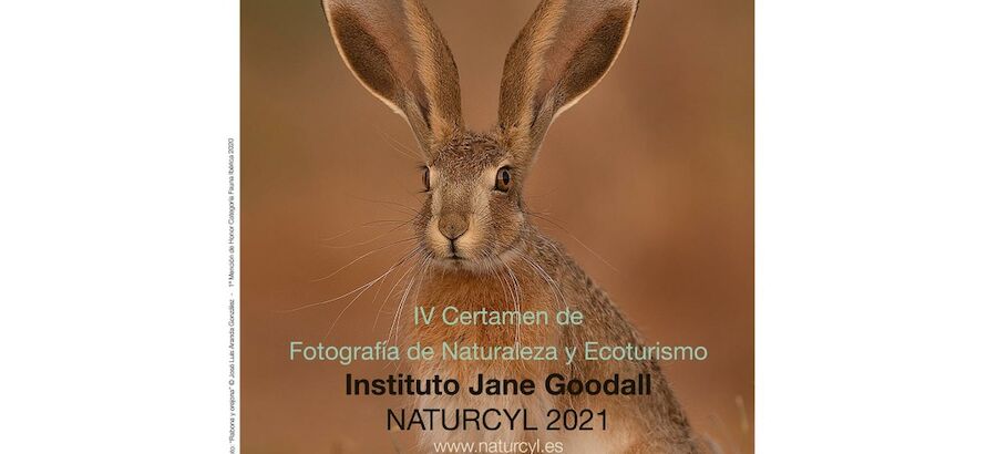 Naturcyl abre las puertas al IV Certamen de Fotografa de Naturaleza y Ecoturismo 