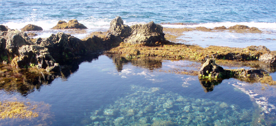 Ecoturismo y buceo descubriendo la naturaleza marina de Espaa 