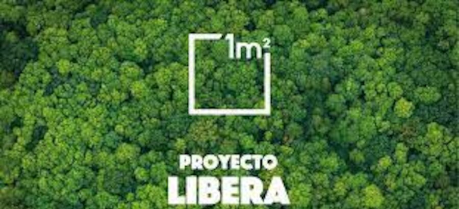El Proyecto LIBERA apadrina 75 iniciativas locales que luchan contra la basuraleza