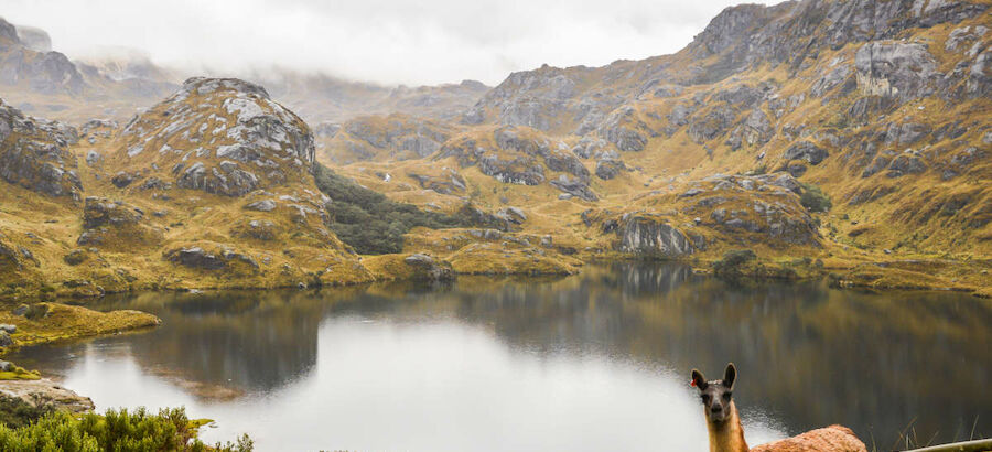 Ecuador cuenta con tres parques naturales de su zona austral 