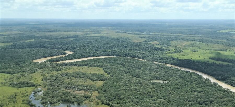 Colombia instala un Puesto de Mando Unificado Ambiental contra la deforestacin 