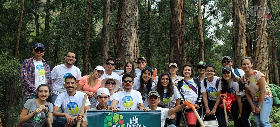 Yo planto un arbolito iniciativa para la reforestacin urbana en Bolivia 