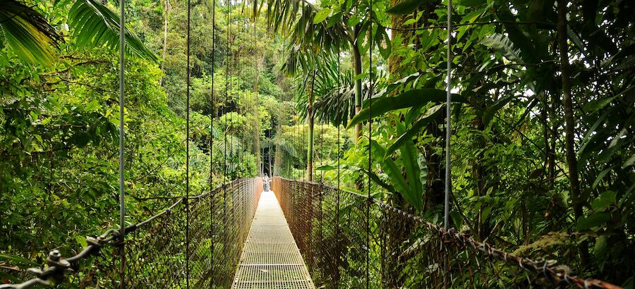 Parque Monteverde Costa Rica