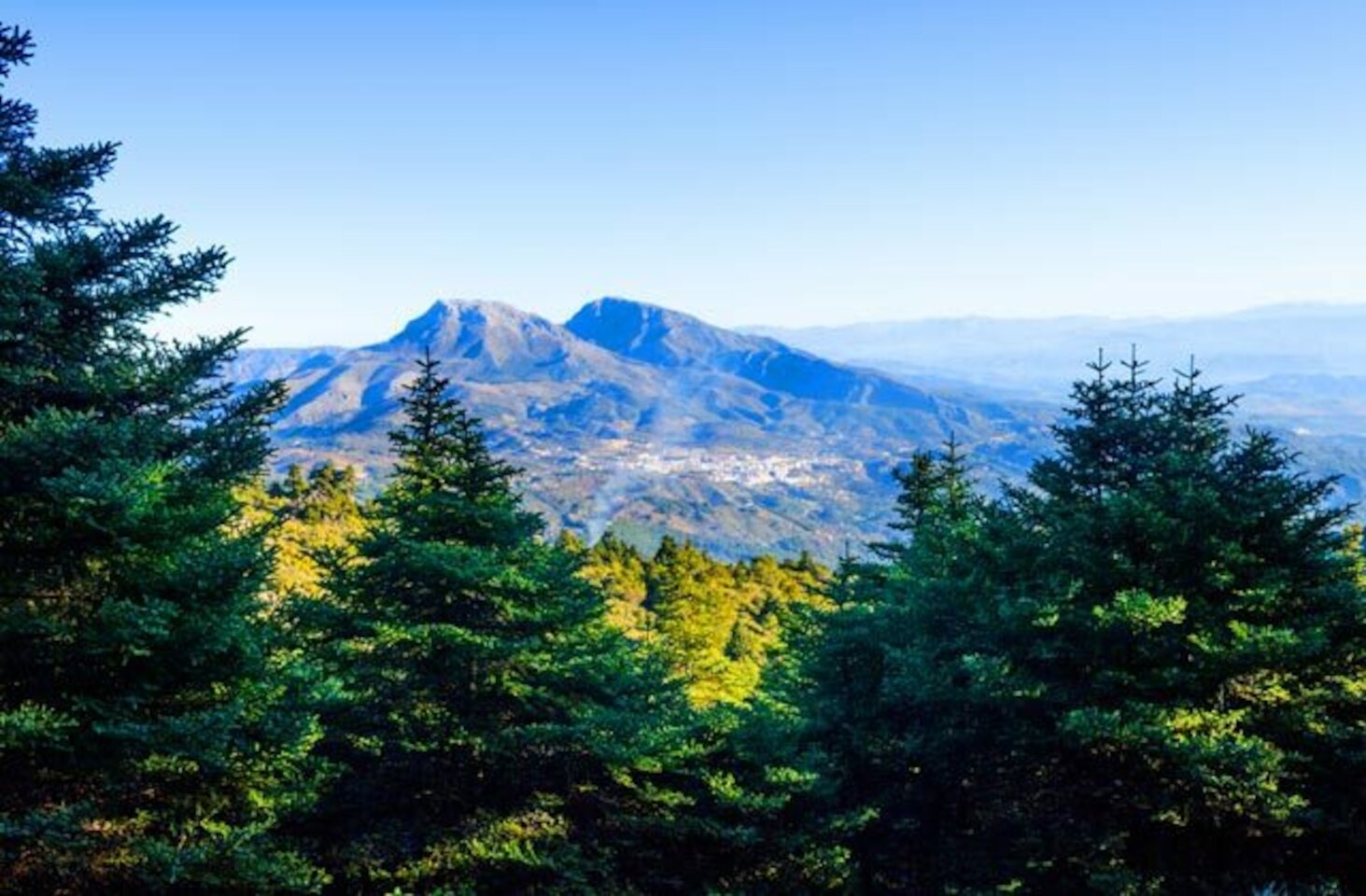 Andalucía Consigue Su Tercer Parque Nacional Sierra De Las Nieves 0222