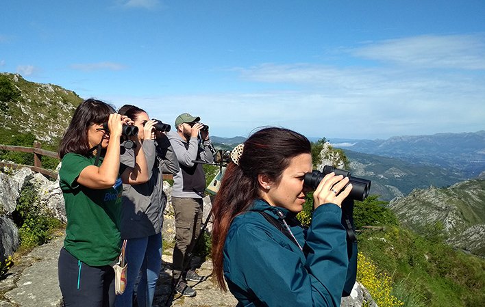 Observación de aves  Asturias