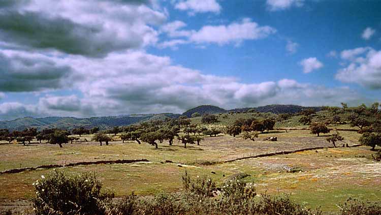 Reserva de la biosfera de Sierra Morena