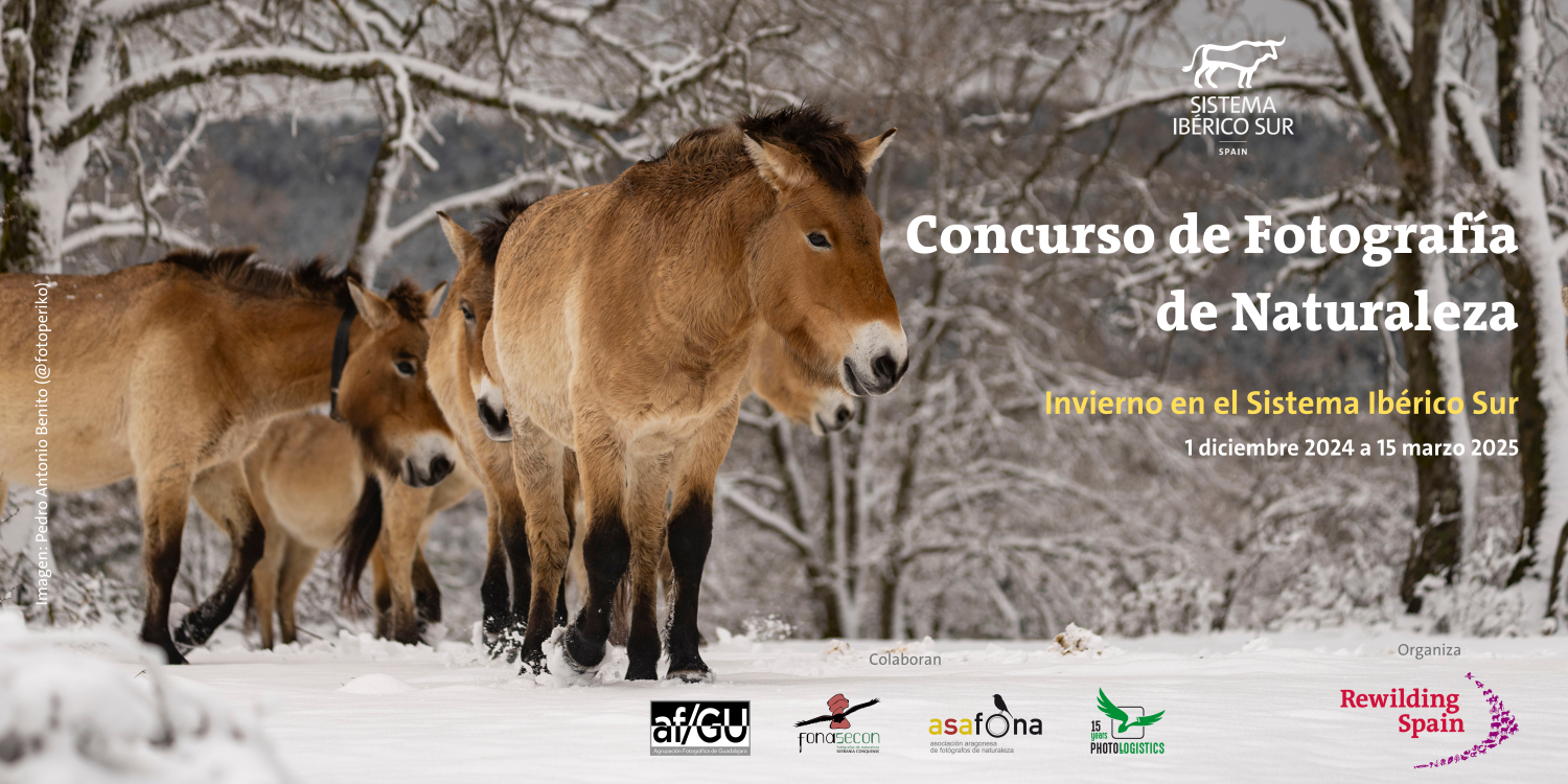 Concurso de Fotografía de Naturaleza ‘Invierno en el Sistema Ibérico Sur’