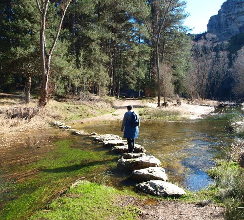 Cañón del río Lobos, Burgos