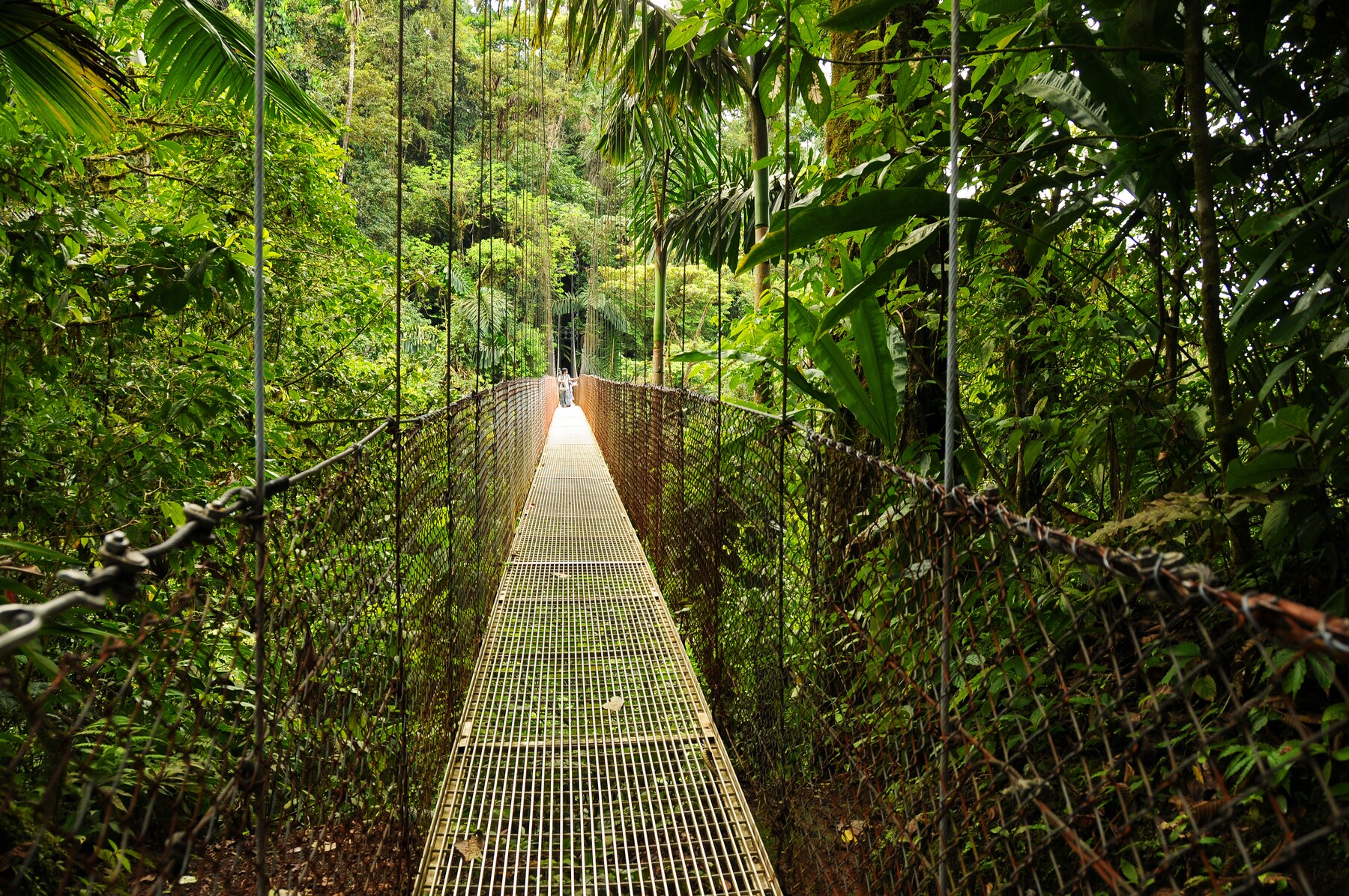 Parque Monteverde, Costa Rica