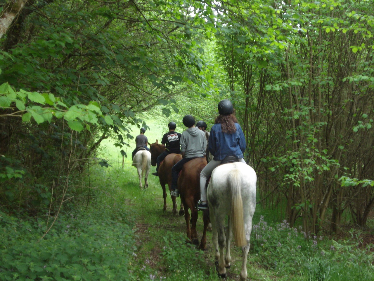 Paseo en caballo, ecoturismo en primavera 2022